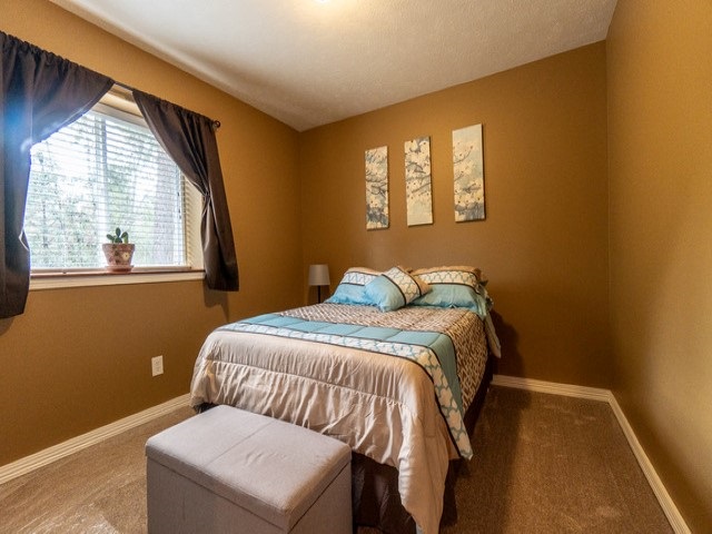 17901 North Division Road Colbert, WA 99005 - Photo 15 of 20