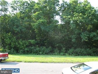 3939 Constance Road Philadelphia, PA 19114 - Photo 3 of 12 View