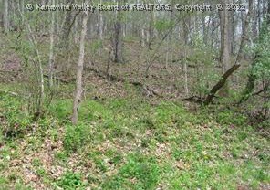 165 Fletcher Road Hurricane, WV 25526 - Photo 1 of 1 Gallery Image 1