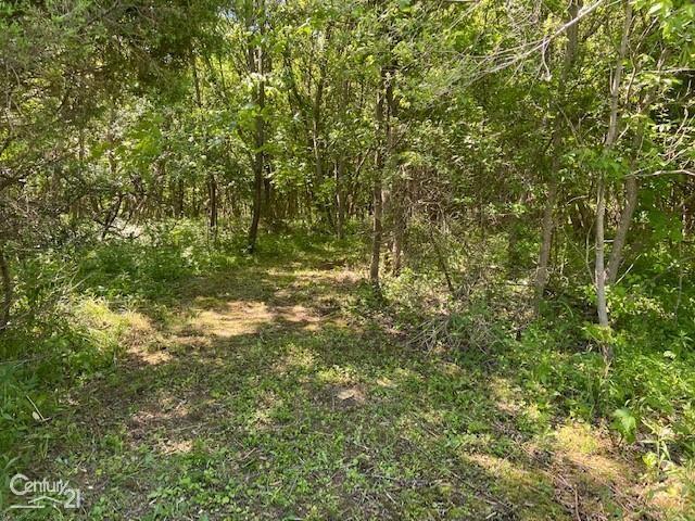 0 Marshall Road Ann Arbor, MI 48104 - Photo 5 of 7