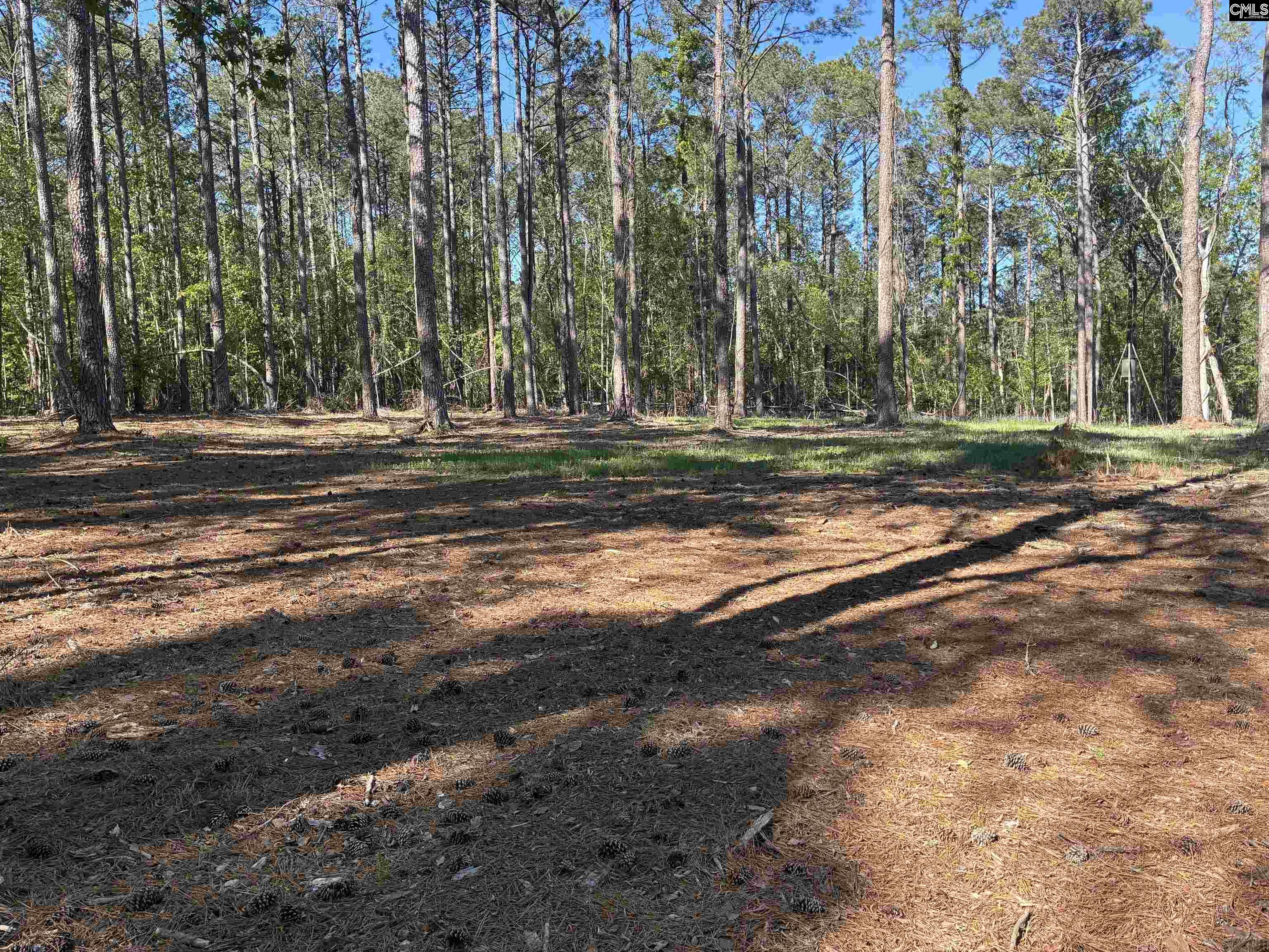 0 Mud Creek Road Newberry, SC 29108 - Photo 8 of 10