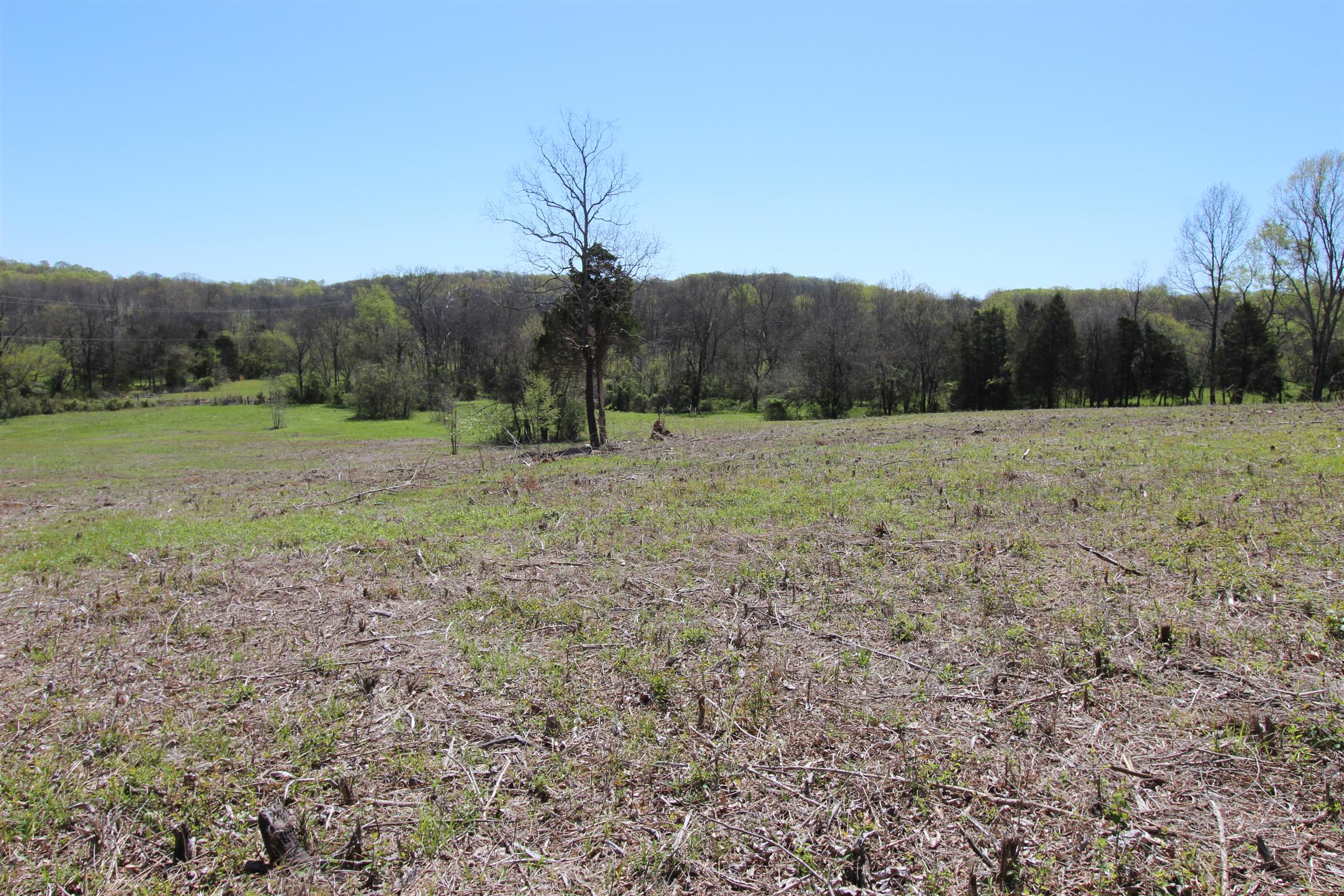 6 Turner Road Watertown, TN 37184 - Photo 3 of 10 a view of an outdoor space with mountain view