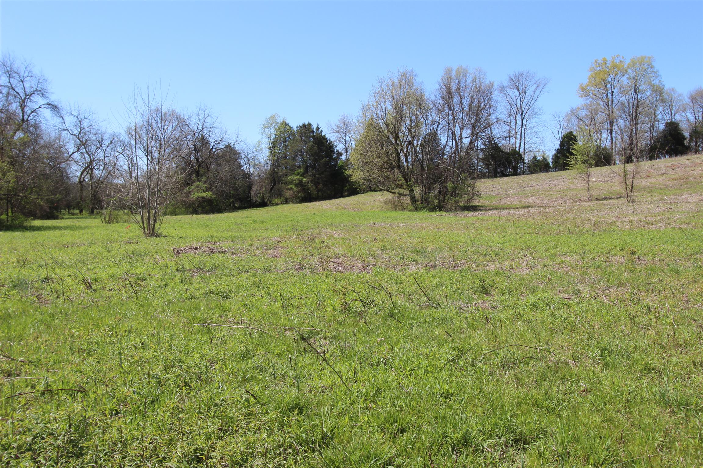 6 Turner Road Watertown, TN 37184 - Photo 8 of 10 a view of outdoor space with trees all around