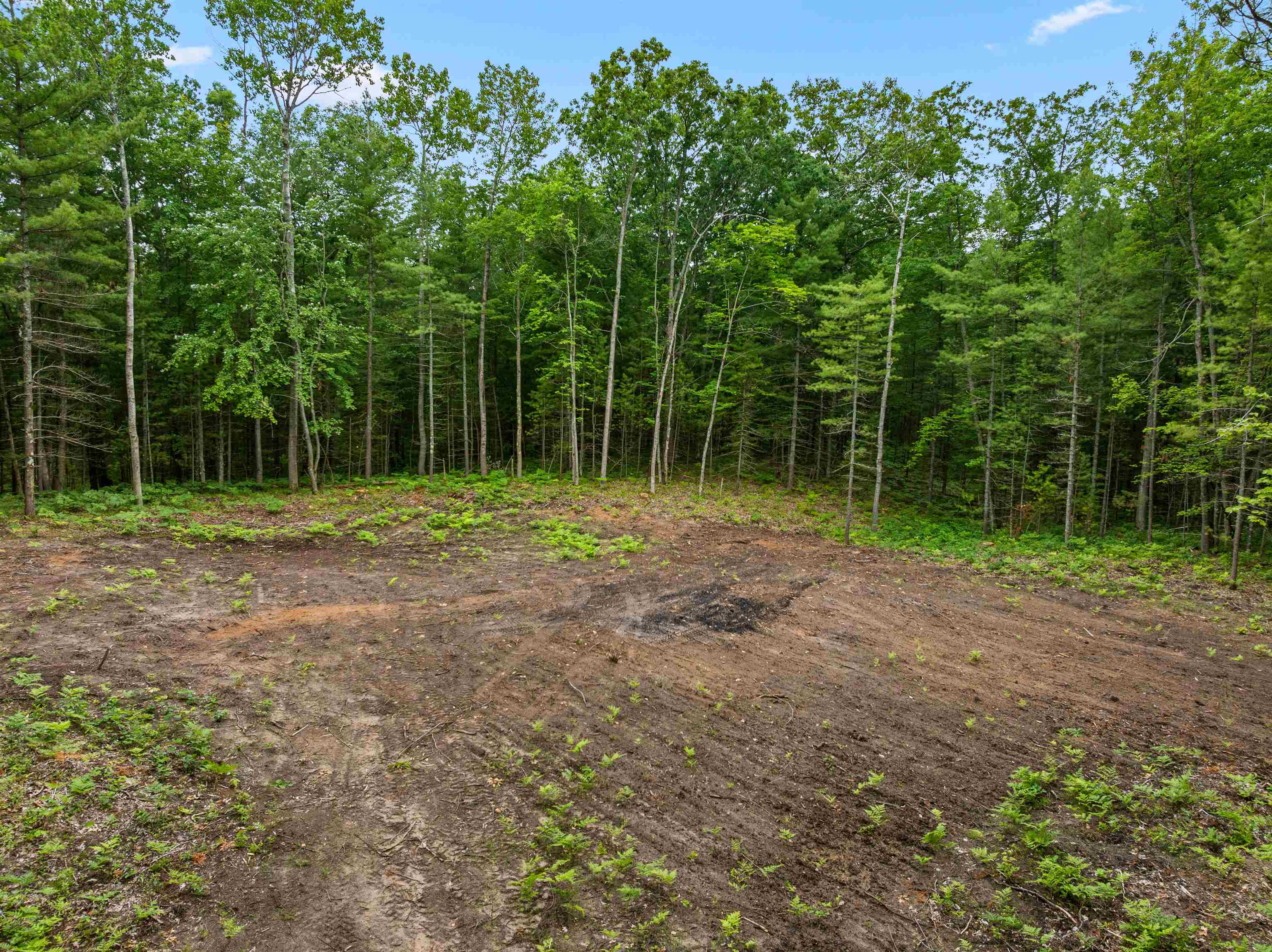 V/l Albrecht Road Interlochen, MI 49643 - Photo 2 of 6