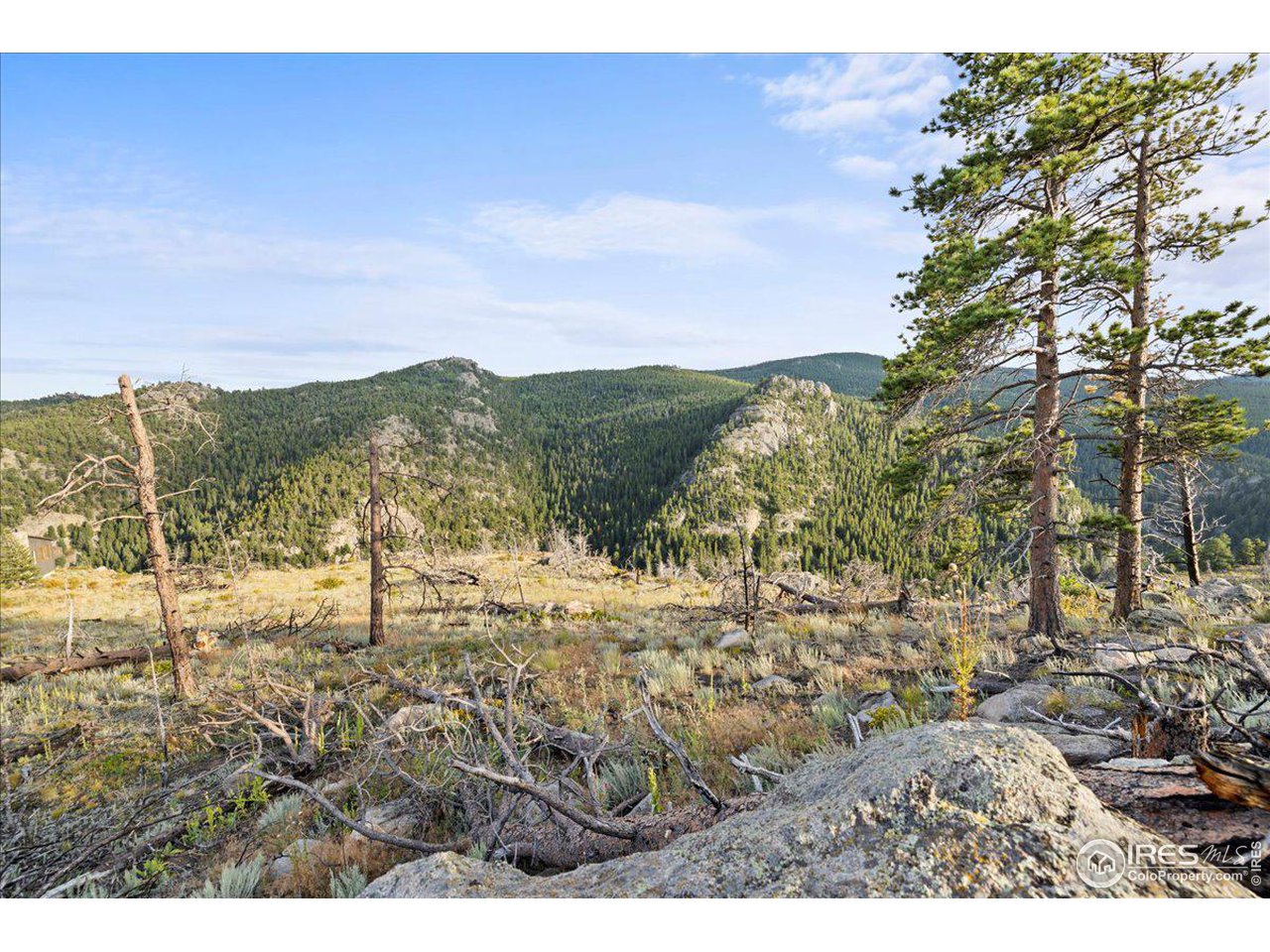 2810 Ridge Road Nederland, CO 80466 - Photo 11 of 21 Privacy Abounds