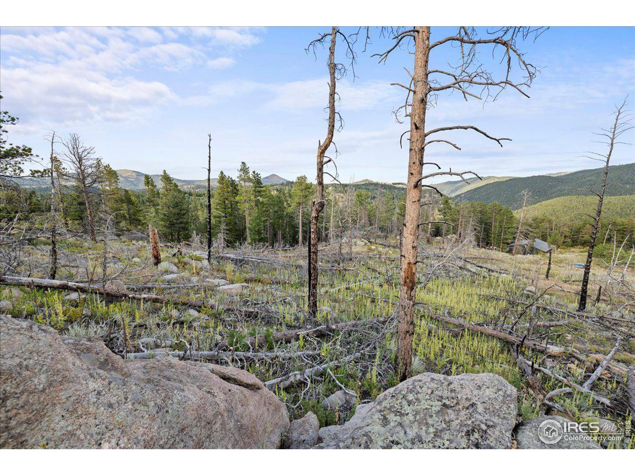 2810 Ridge Road Nederland, CO 80466 - Photo 12 of 21 Level Homesite