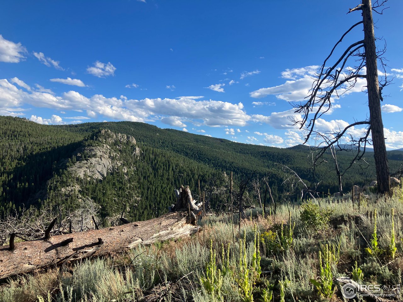 2810 Ridge Road Nederland, CO 80466 - Photo 13 of 21 Stunning views into Boulder Canyon
