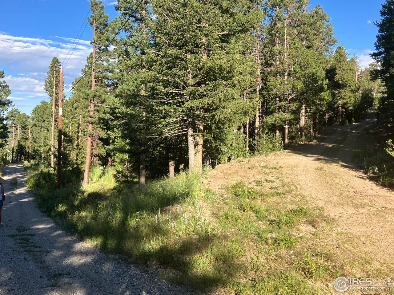 2810 Ridge Road Nederland, CO 80466 - Photo 14 of 21 Driveway entrance