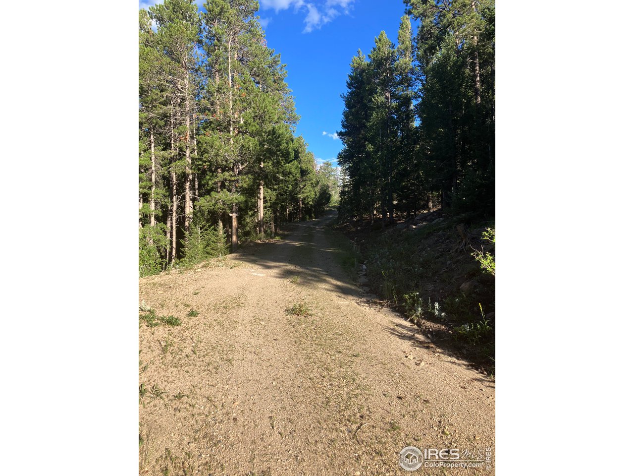 2810 Ridge Road Nederland, CO 80466 - Photo 15 of 21 Driveway
