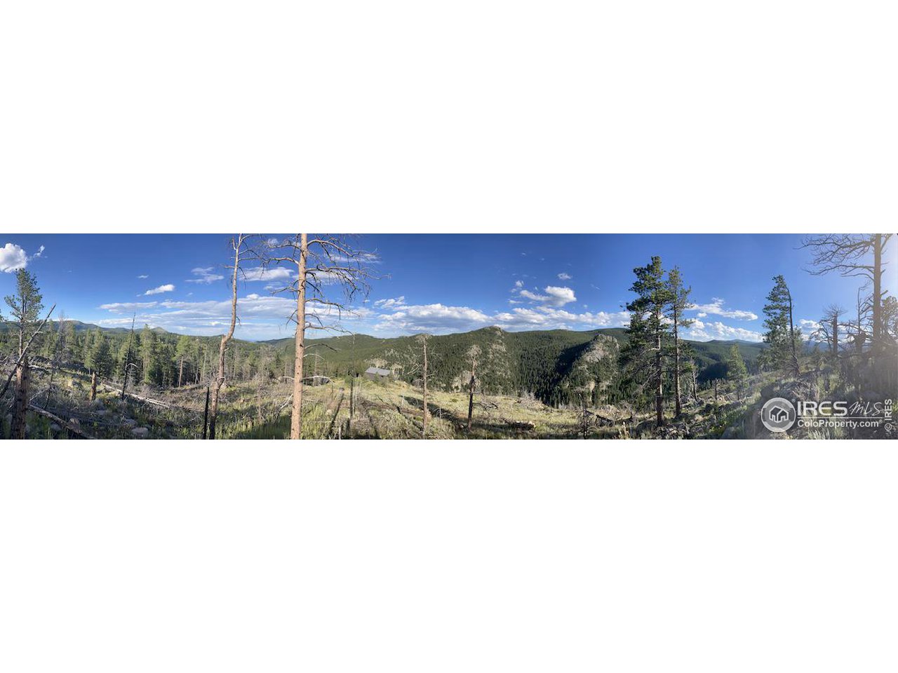 2810 Ridge Road Nederland, CO 80466 - Photo 10 of 21 360 Degree Views from Homesite