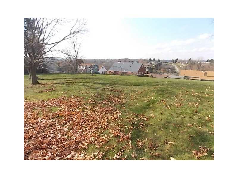 1108 State Road Monessen, PA 15062 - Photo 3 of 12 Yard/Garden.
