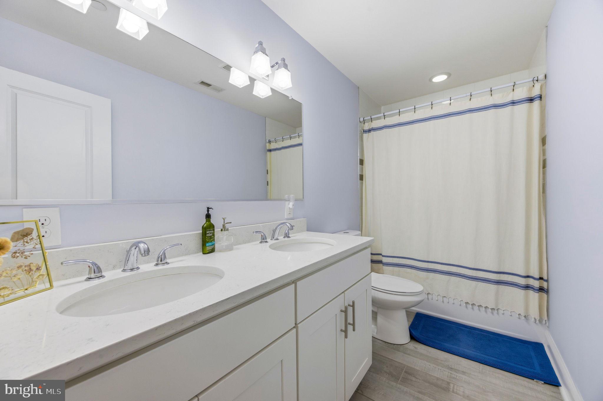 3628 Bay Drive Baltimore, MD 21220 - Photo 35 of 72 a bathroom with a sink a toilet a mirror and shower