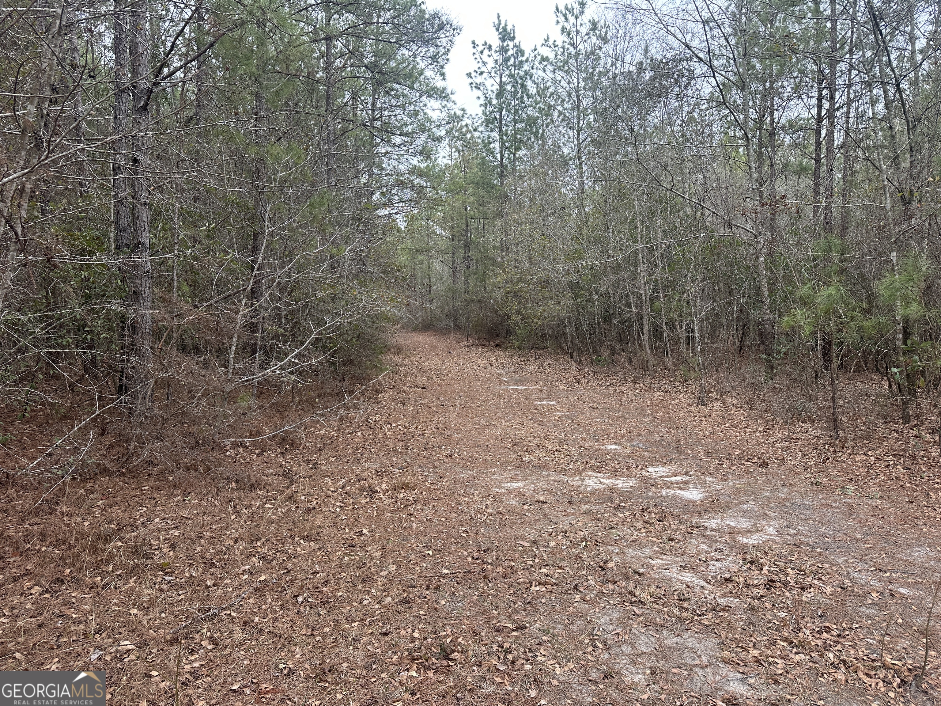 160 Landing Road Sylvania, GA 30467 - Photo 11 of 11