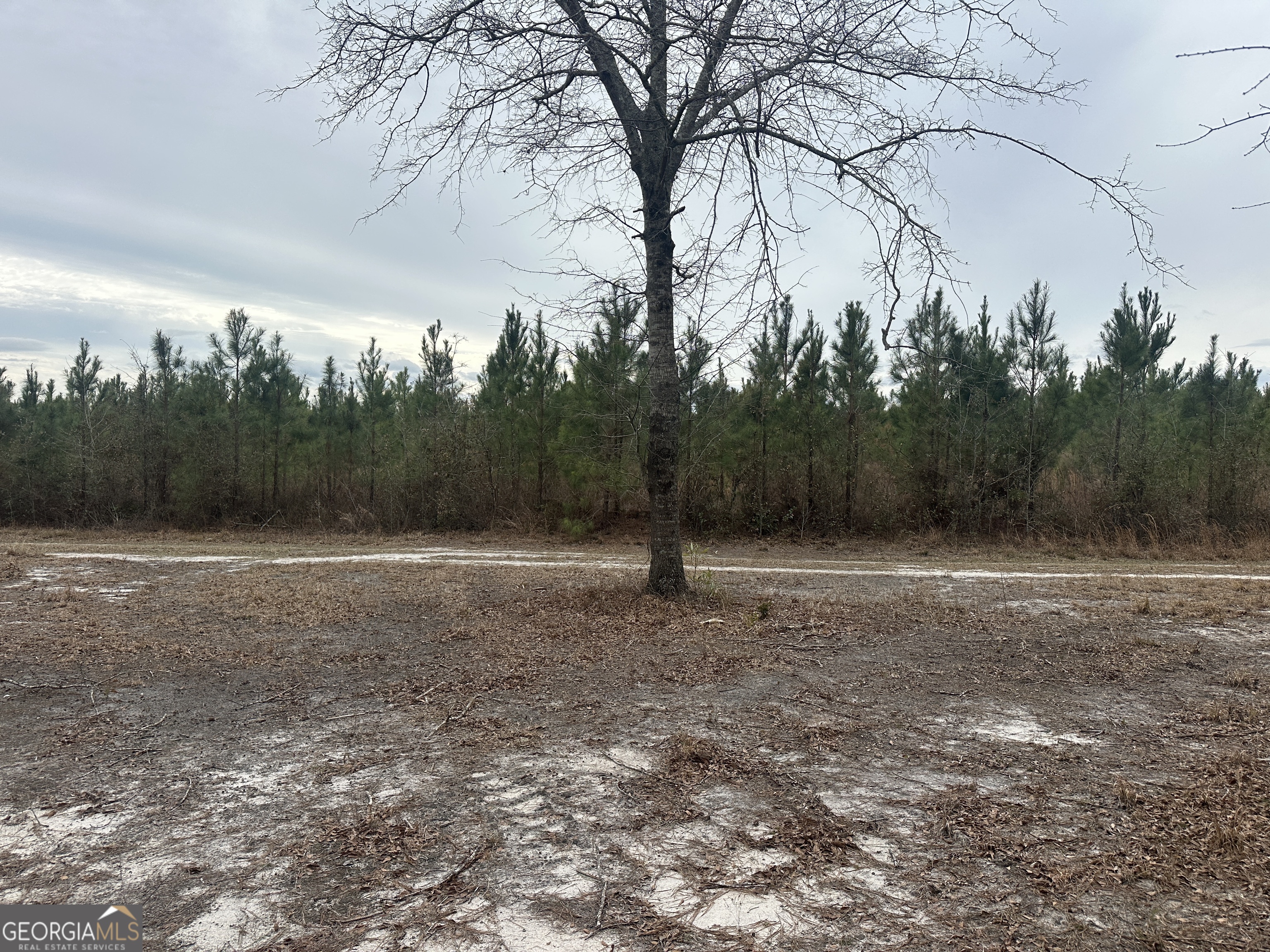 160 Landing Road Sylvania, GA 30467 - Photo 2 of 11