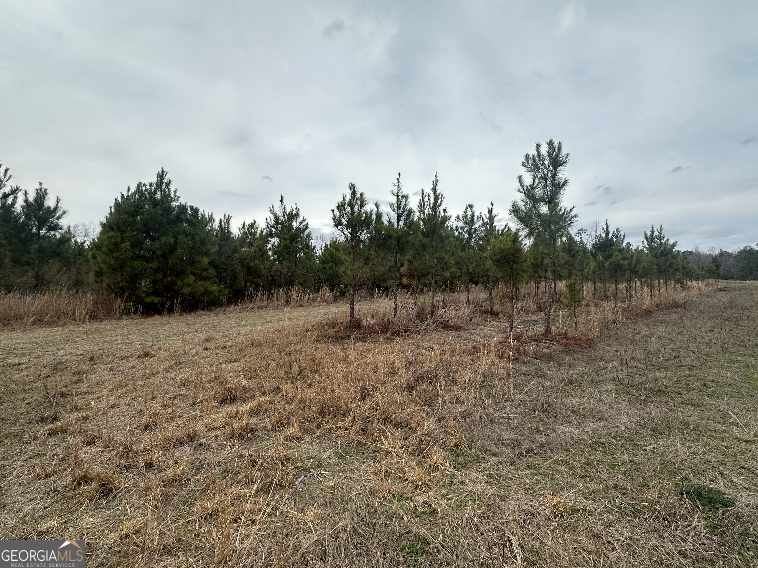 160 Landing Road Sylvania, GA 30467 - Photo 5 of 11