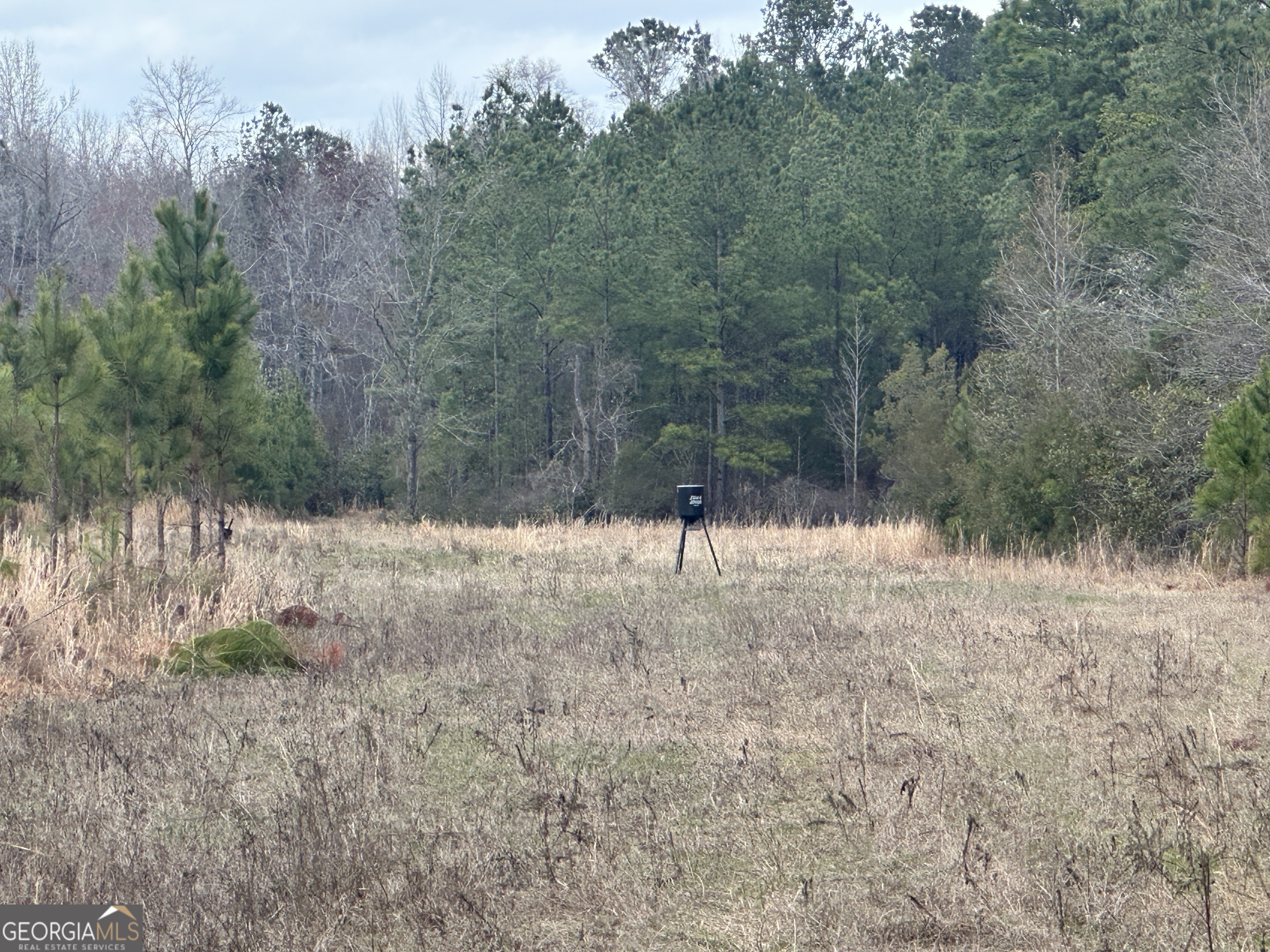 160 Landing Road Sylvania, GA 30467 - Photo 6 of 11