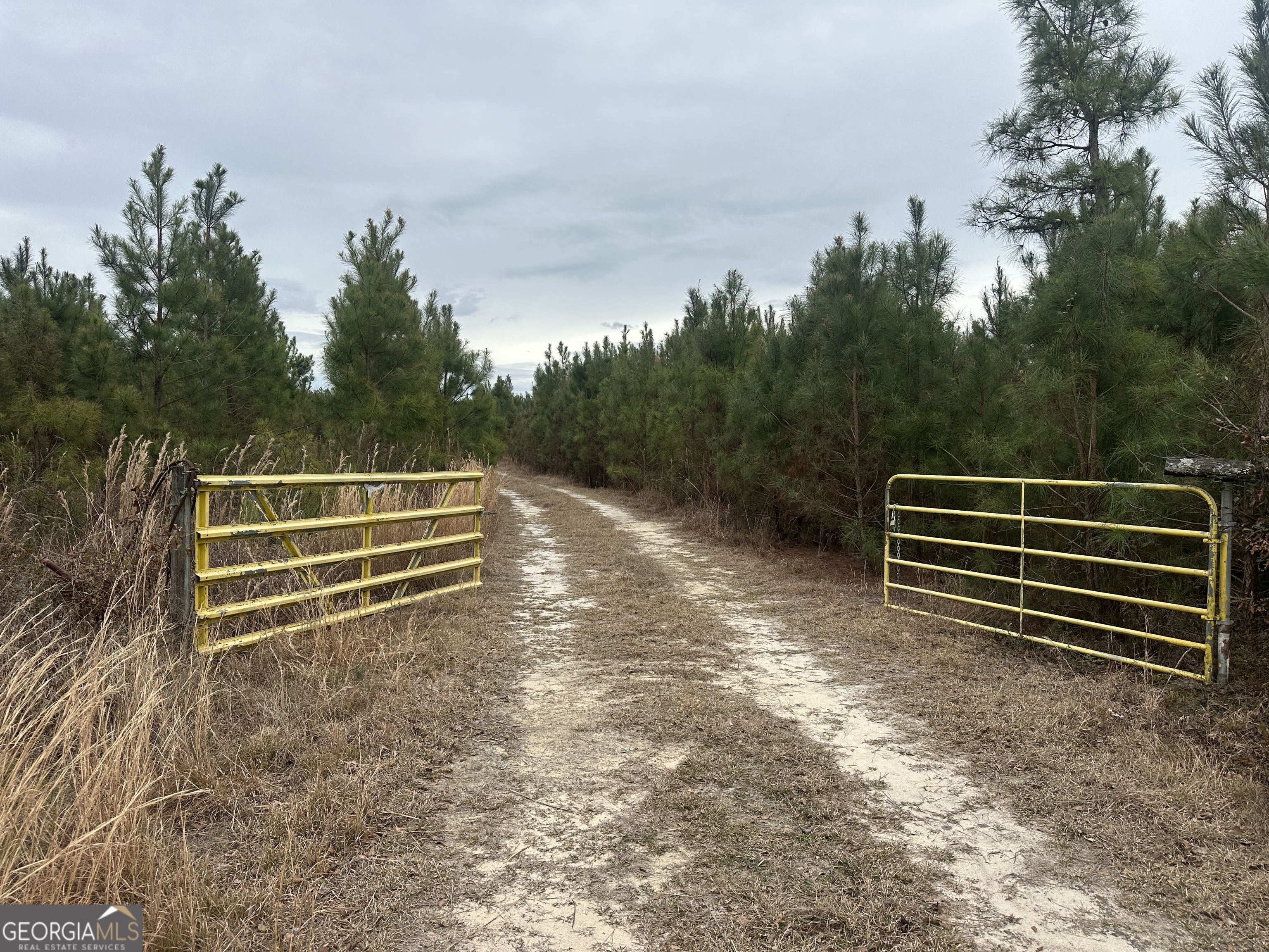 160 Landing Road Sylvania, GA 30467 - Photo 7 of 11