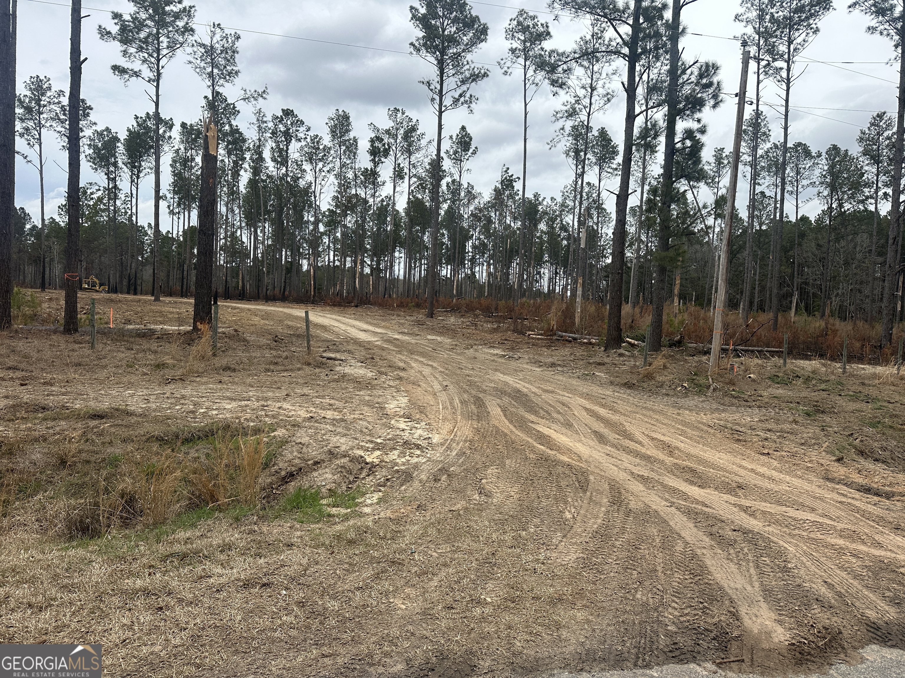 160 Landing Road Sylvania, GA 30467 - Photo 10 of 11