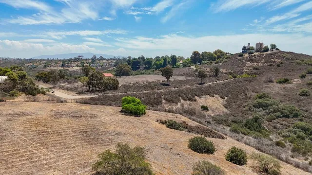 a view of a dry yard with trees