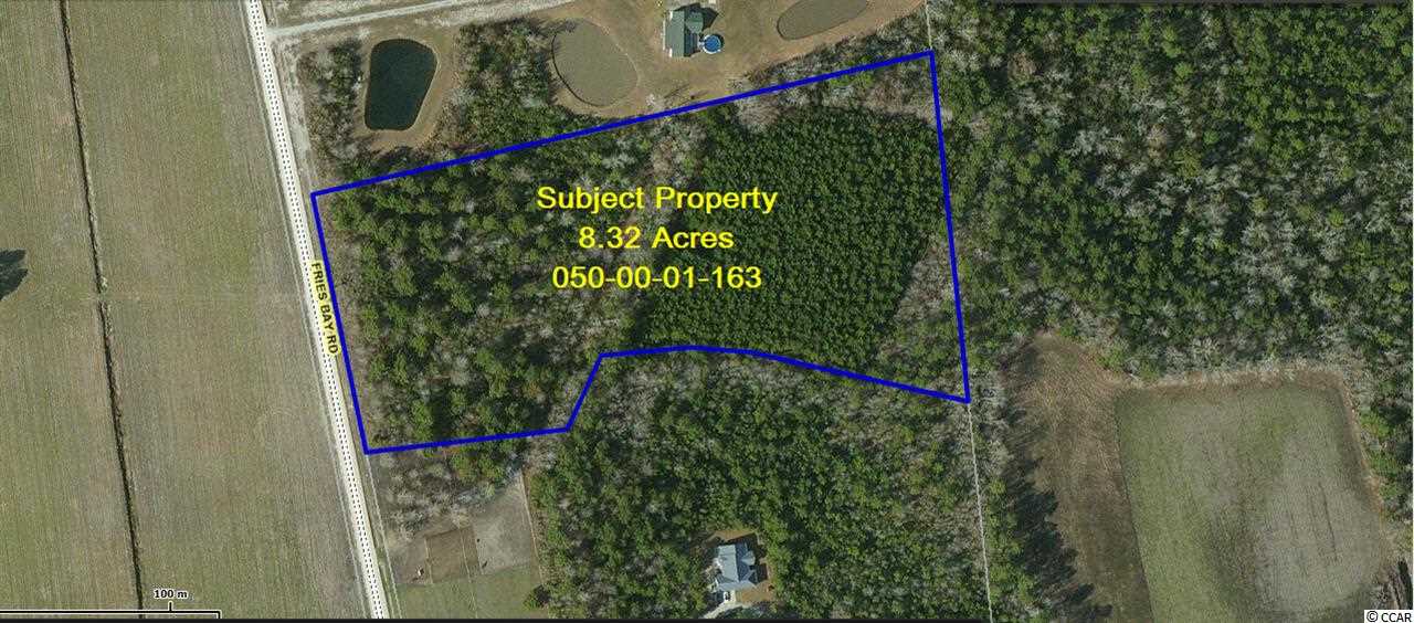 Tbd Fries Bay Road Loris, SC 29569 - Photo 1 of 8