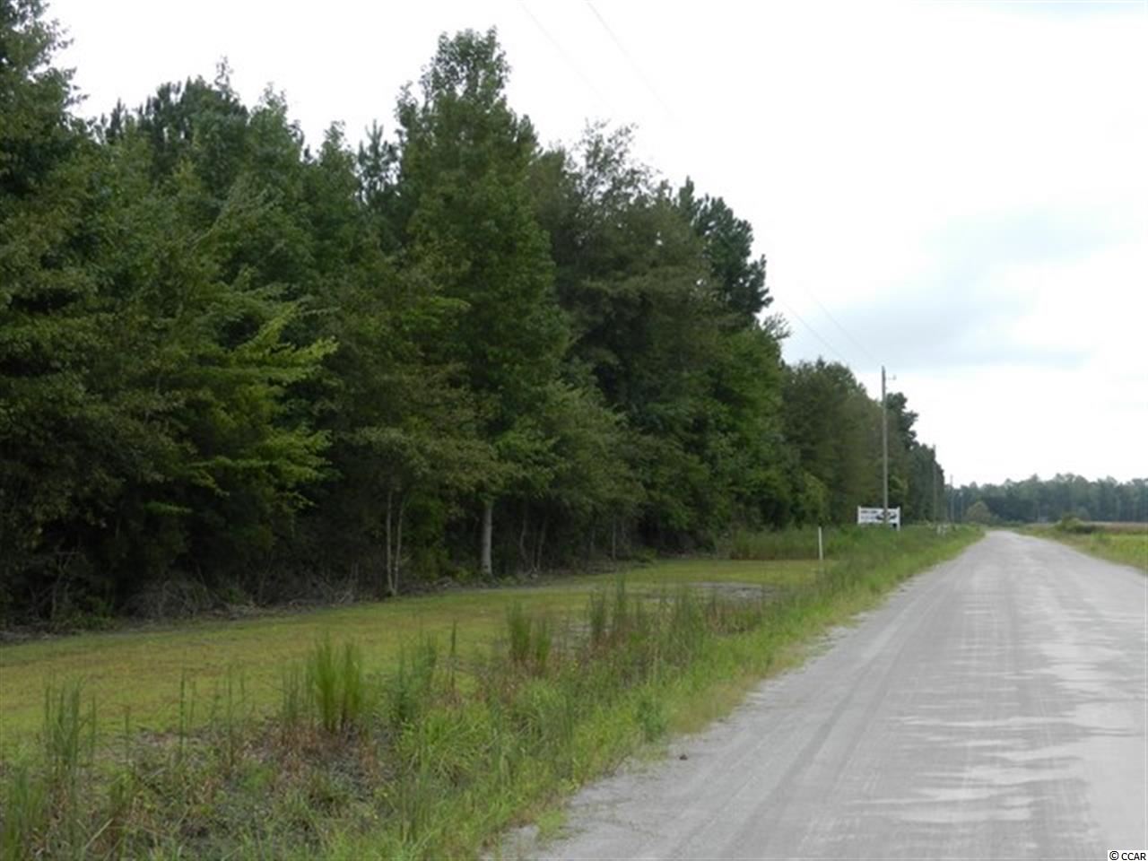 Tbd Fries Bay Road Loris, SC 29569 - Photo 2 of 8