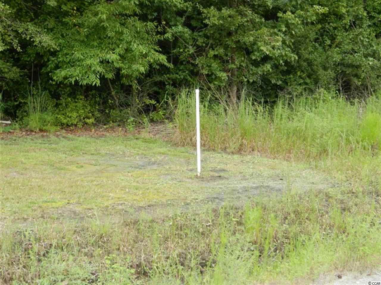 Tbd Fries Bay Road Loris, SC 29569 - Photo 5 of 8