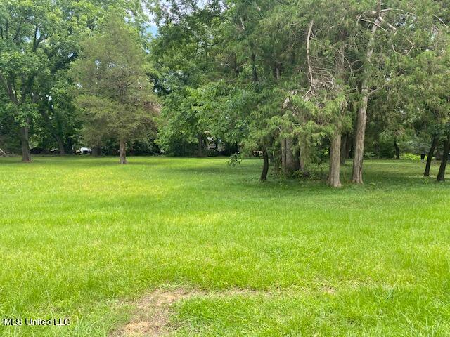 1390 Broady Road Nesbit, MS 38651 - Photo 1 of 2 Broady Photo