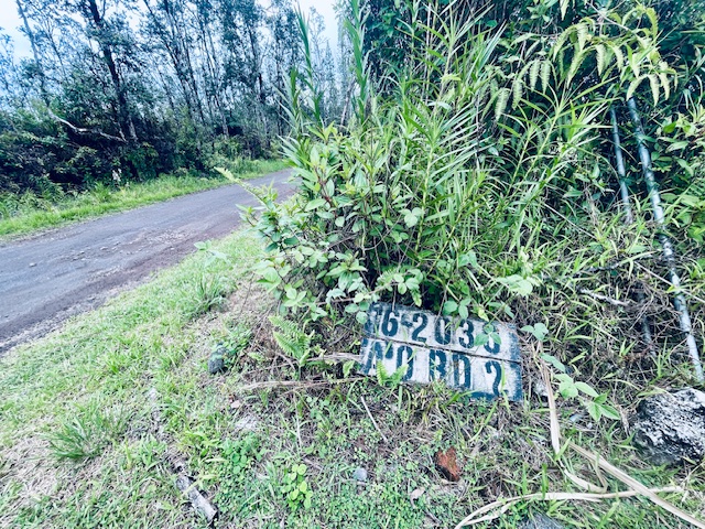 16-2030 Lot 2763 Ao Road Mountain View, HI 96771 - Photo 10 of 11 a view of a yard with plants and large trees