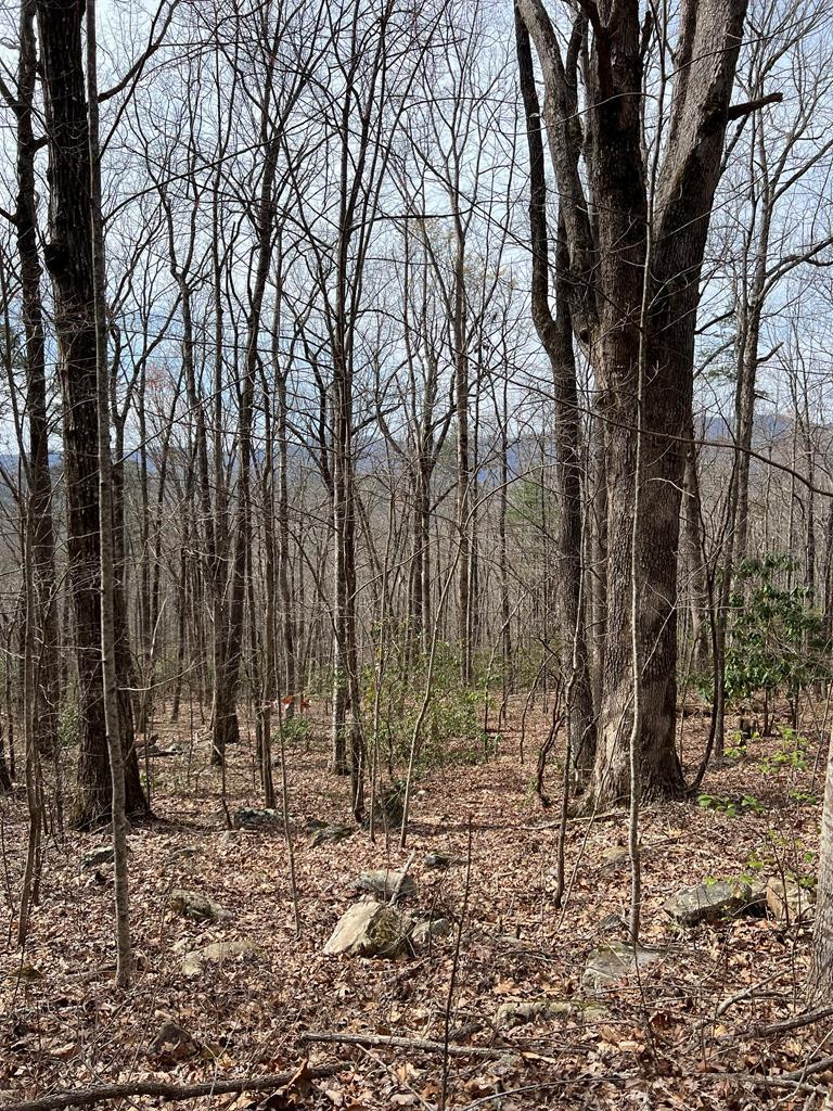 0 Laurel Drive Marble, NC 28905 - Photo 39 of 42