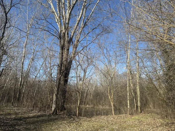 $1,690,000 | N3075 Hardscrabble Road, Palmyra, WI 53156