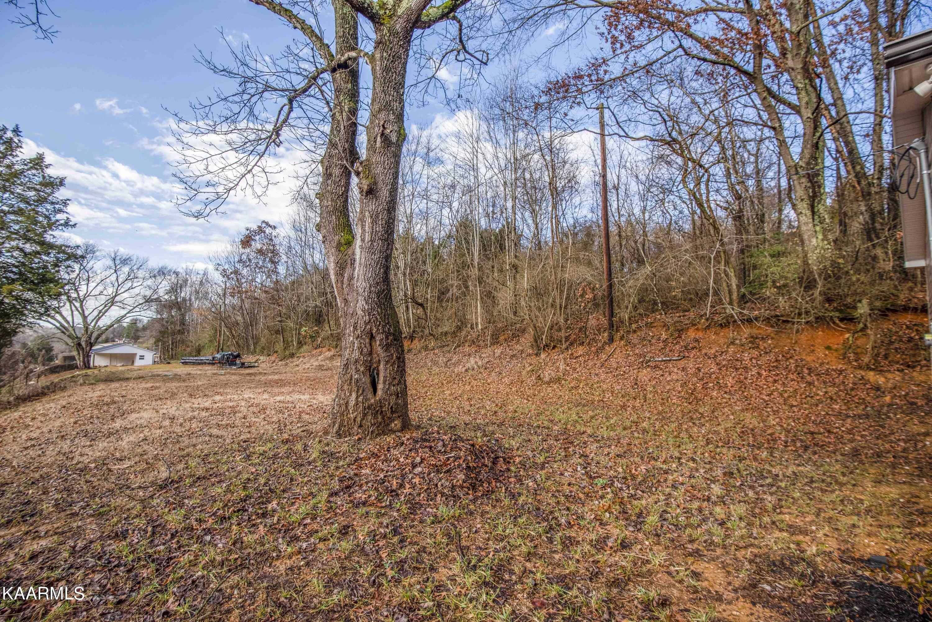 221 Offutt Road Clinton, TN 37716 - Photo 28 of 41 yard 2_1