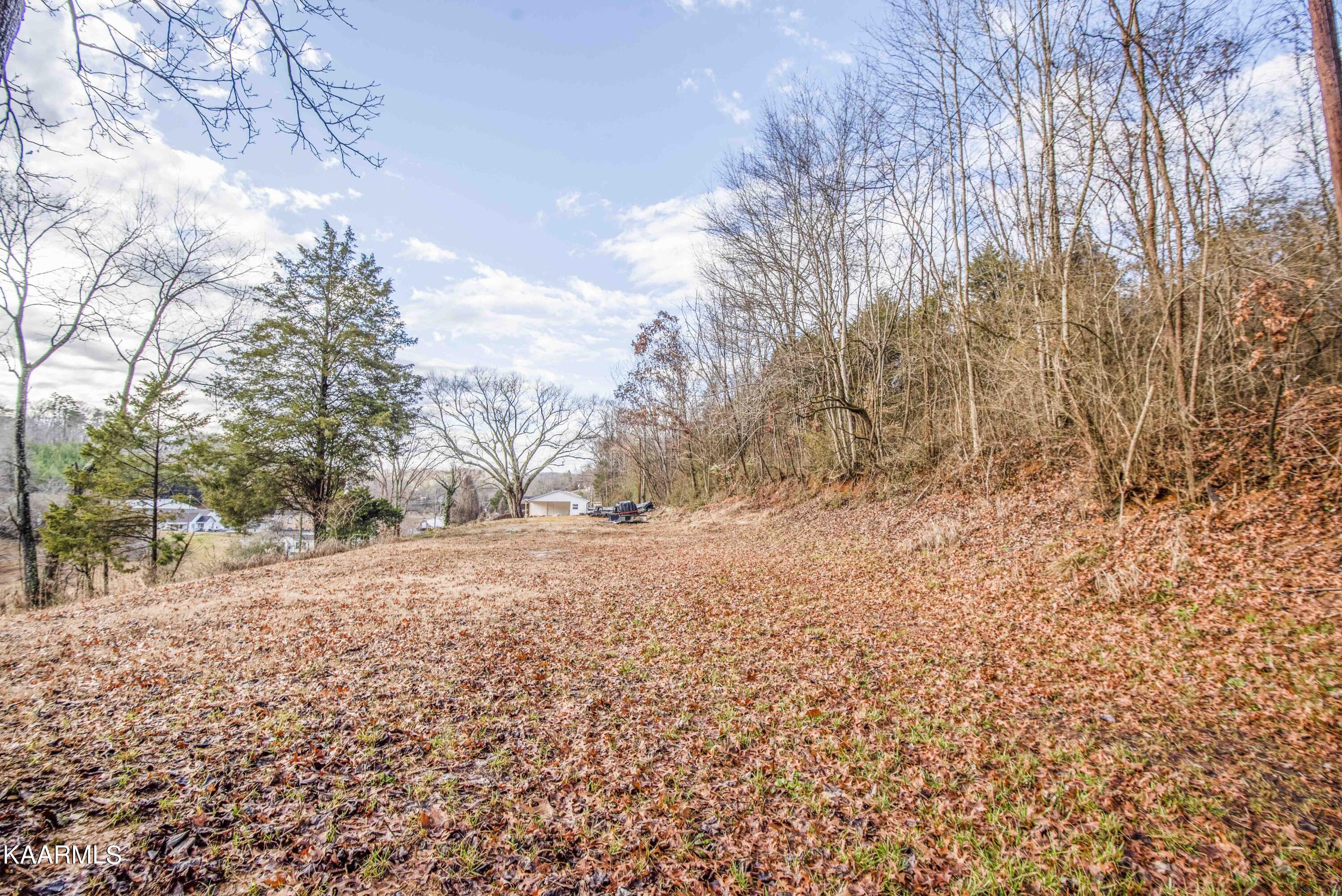 221 Offutt Road Clinton, TN 37716 - Photo 29 of 41 yard 3_1