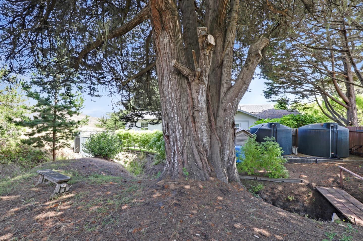 7840 Stage Road San Gregorio, CA 94074 - Photo 26 of 42 a backyard of a house with lots of green space