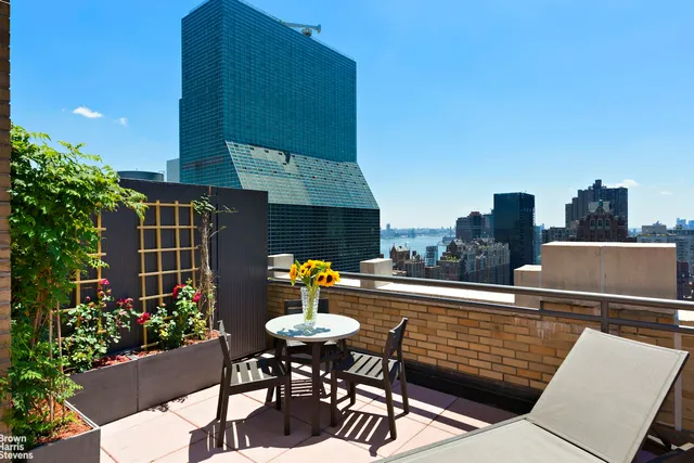 a view of a terrace with furniture and a potted plant