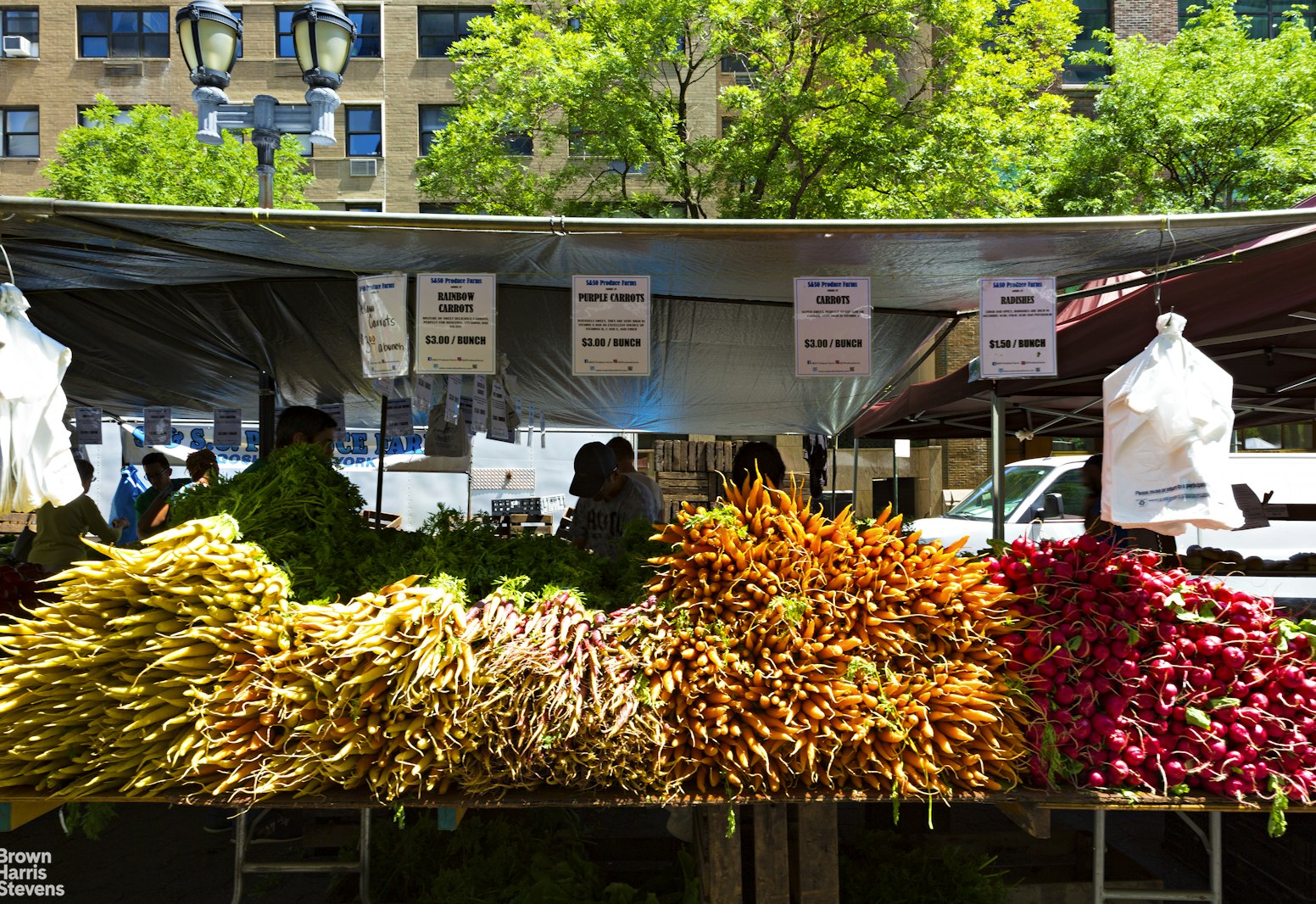 310 East 46th Street, Unit 4N Manhattan, NY 10017 - Photo 18 of 21 a view of outdoor space and yard