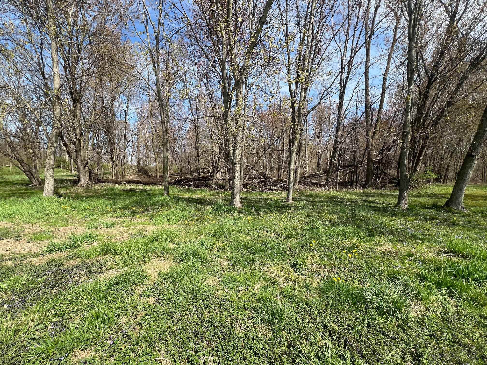 4924 West Till Road Fort Wayne, IN 46818 - Photo 28 of 35