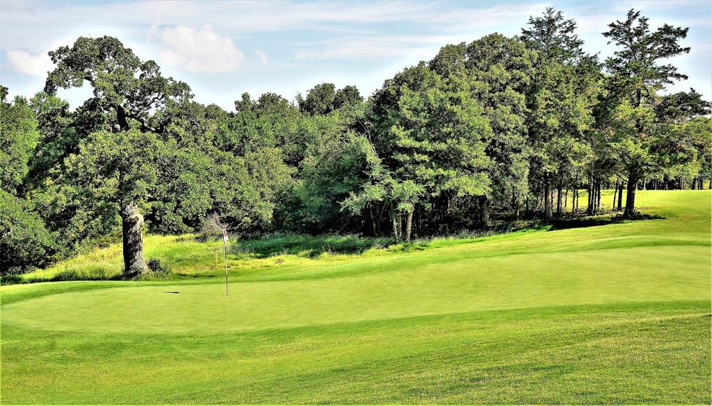Lot 12 Windrose Loop Gordonville, TX 76245 - Photo 22 of 32 a view of a golf course with a lake