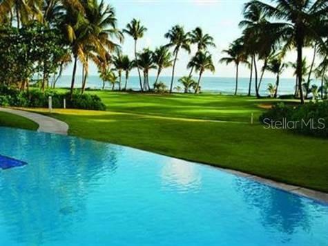 a big yard with palm trees
