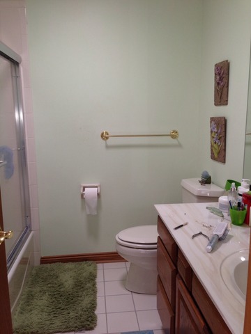 988 Plum Tree Road Fox River Grove, IL 60021 - Photo 15 of 25 a bathroom with a sink a toilet and a mirror