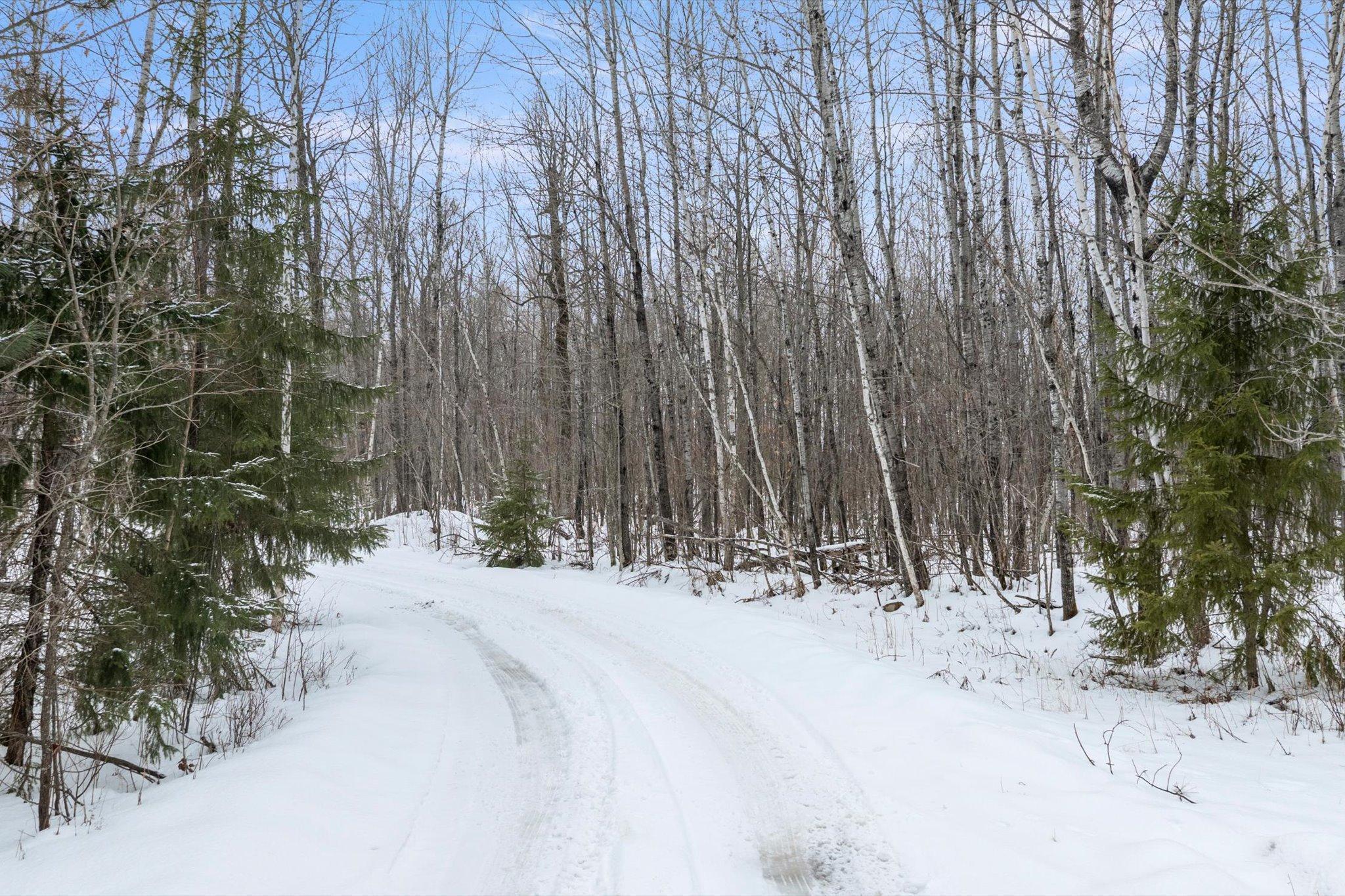 Tbd North Wabana Forest Road Grand Rapids, MN 55744 - Photo 5 of 15