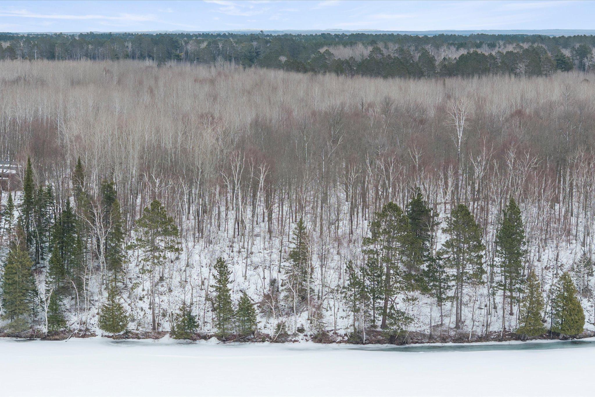 Tbd North Wabana Forest Road Grand Rapids, MN 55744 - Photo 6 of 15