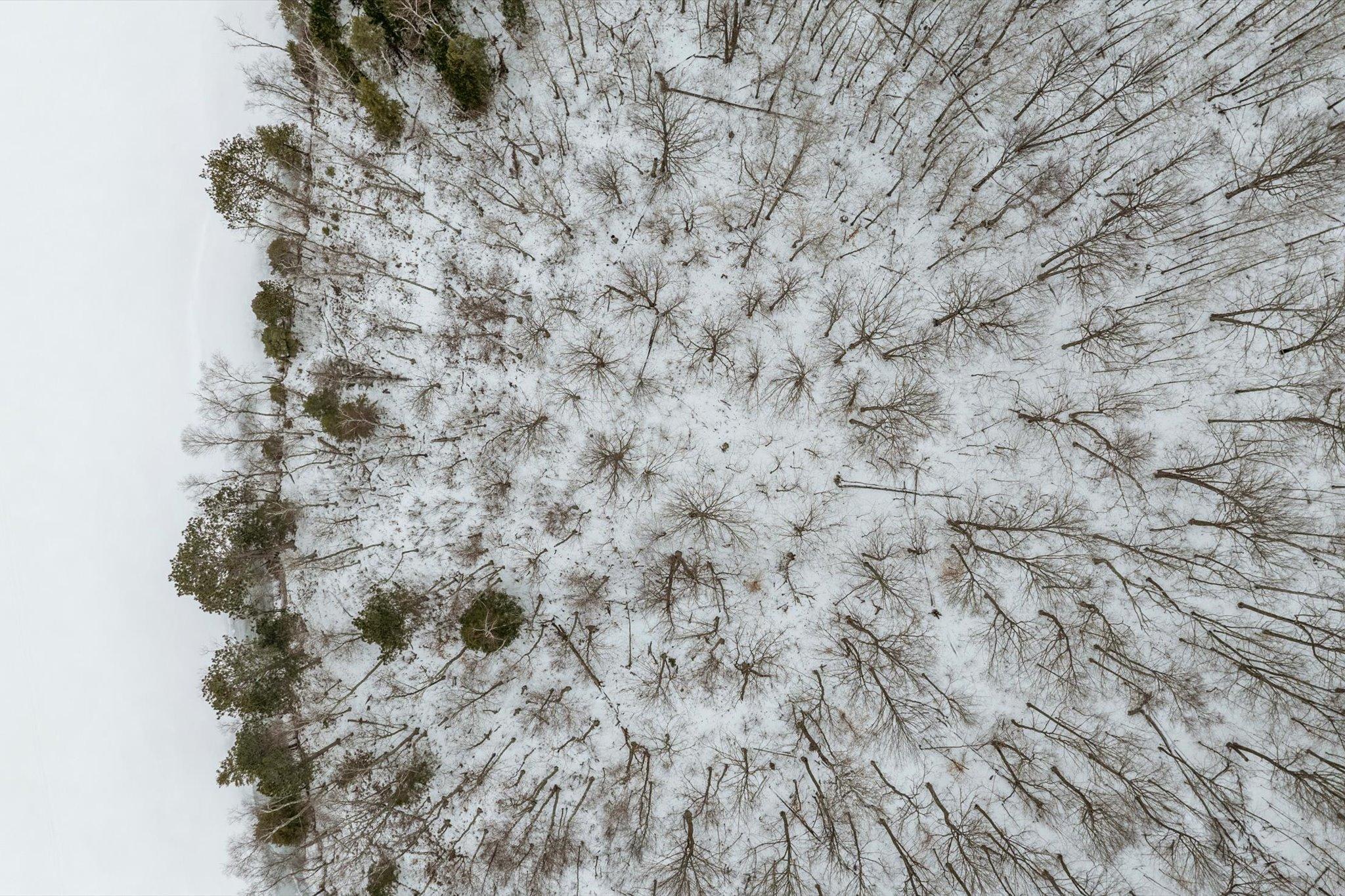 Tbd North Wabana Forest Road Grand Rapids, MN 55744 - Photo 8 of 15