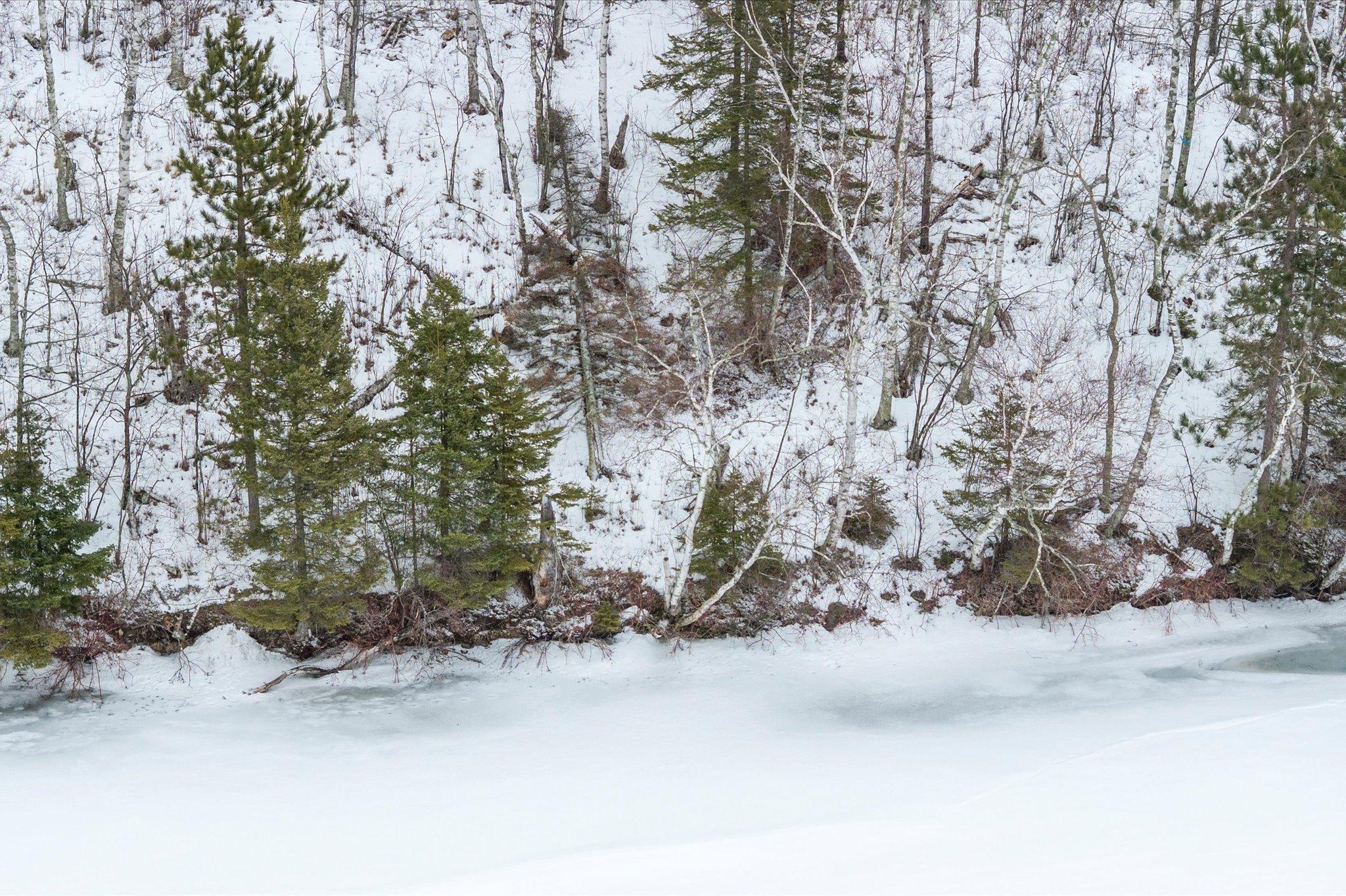 Tbd North Wabana Forest Road Grand Rapids, MN 55744 - Photo 10 of 15