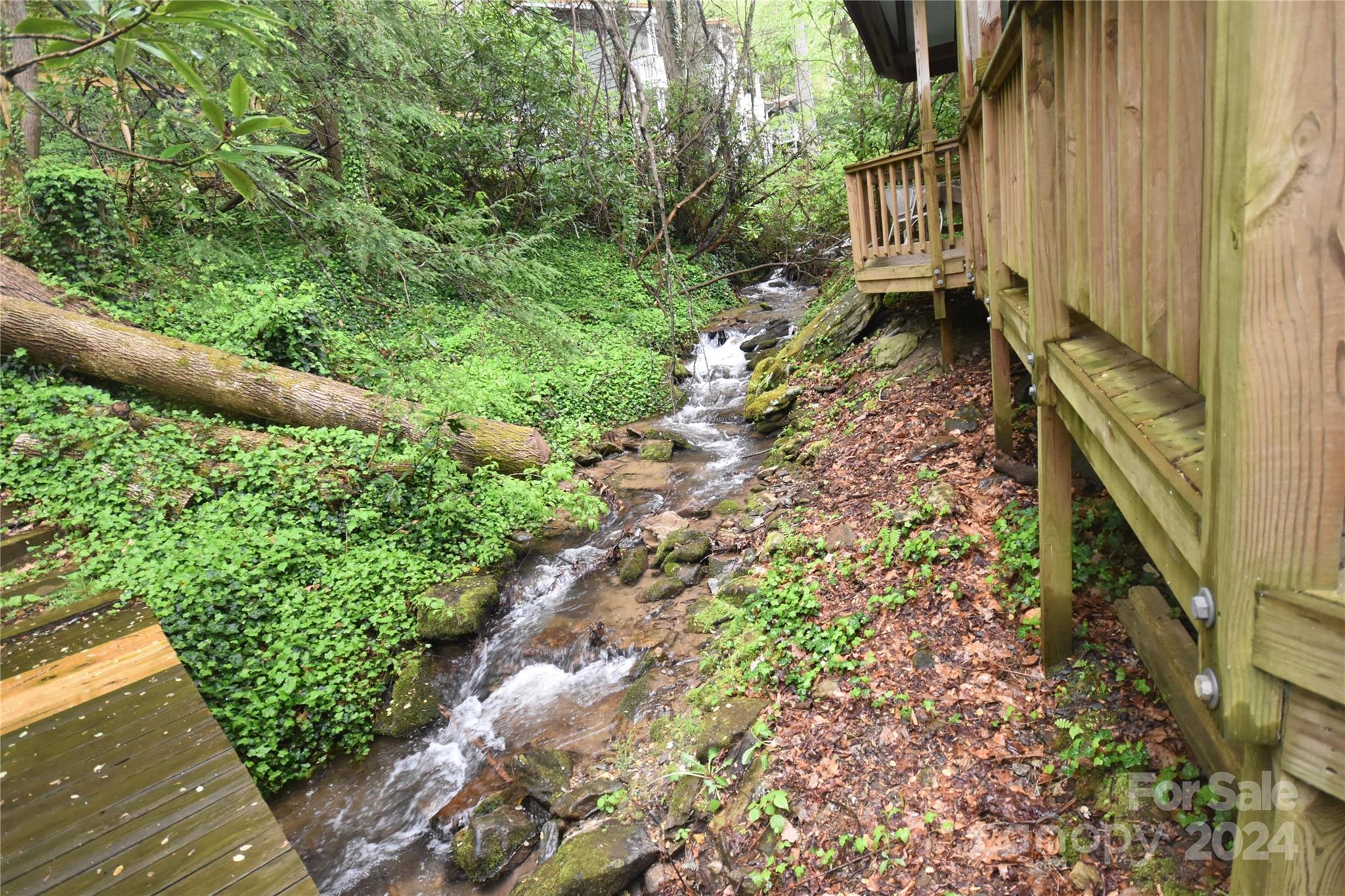 367 Johnson Branch Road Maggie Valley, NC 28751 - Photo 3 of 28 a view of a yard with plants