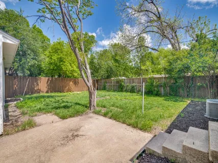 a view of a yard with a tree