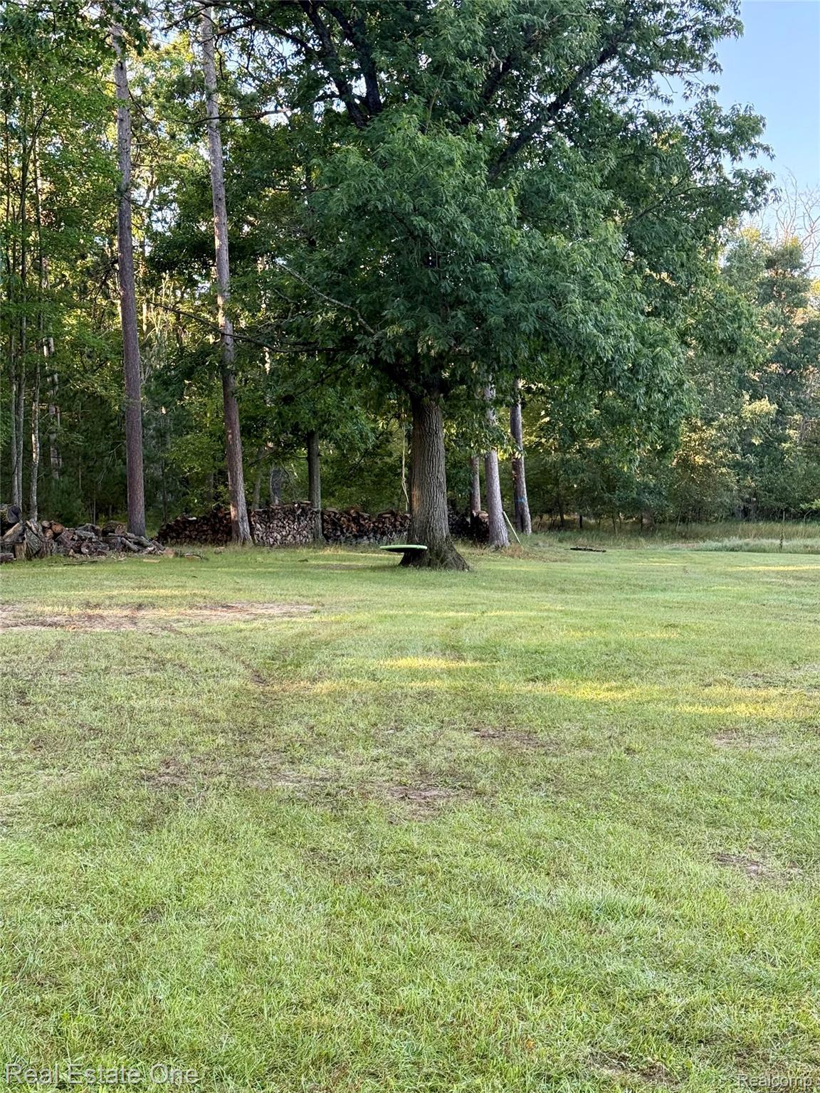 5608 Butler Road St. Helen, MI 48656 - Photo 19 of 19 1 acre of country living that backs up to state land.