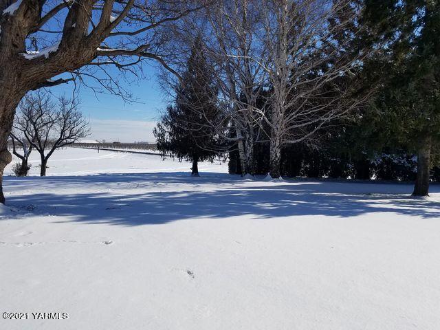 501 Mohar Road Grandview, WA 98930 - Photo 24 of 24 a view of backyard space with large trees