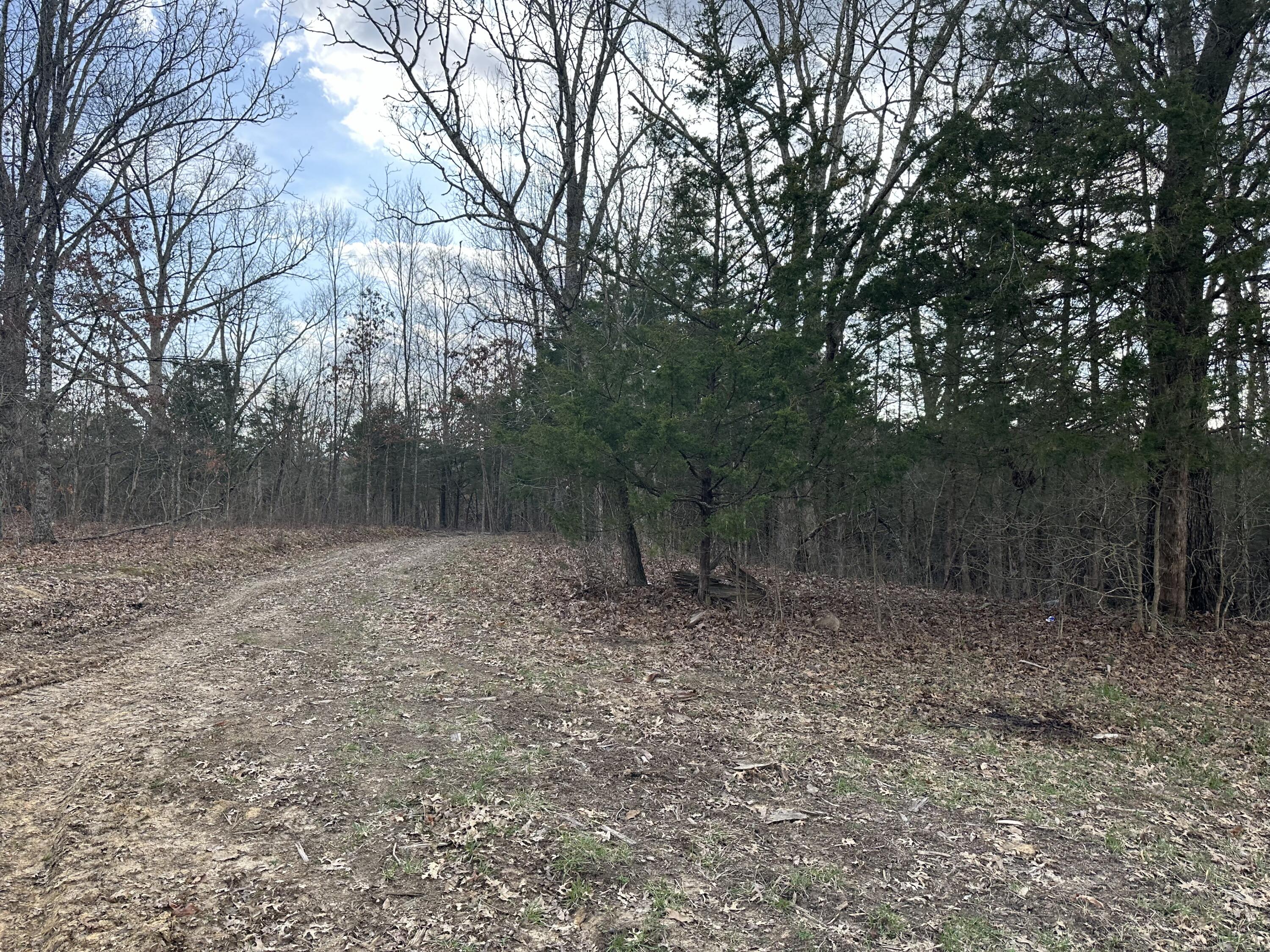 293031 Fox Trail Road Corinth, KY 41010 - Photo 6 of 20