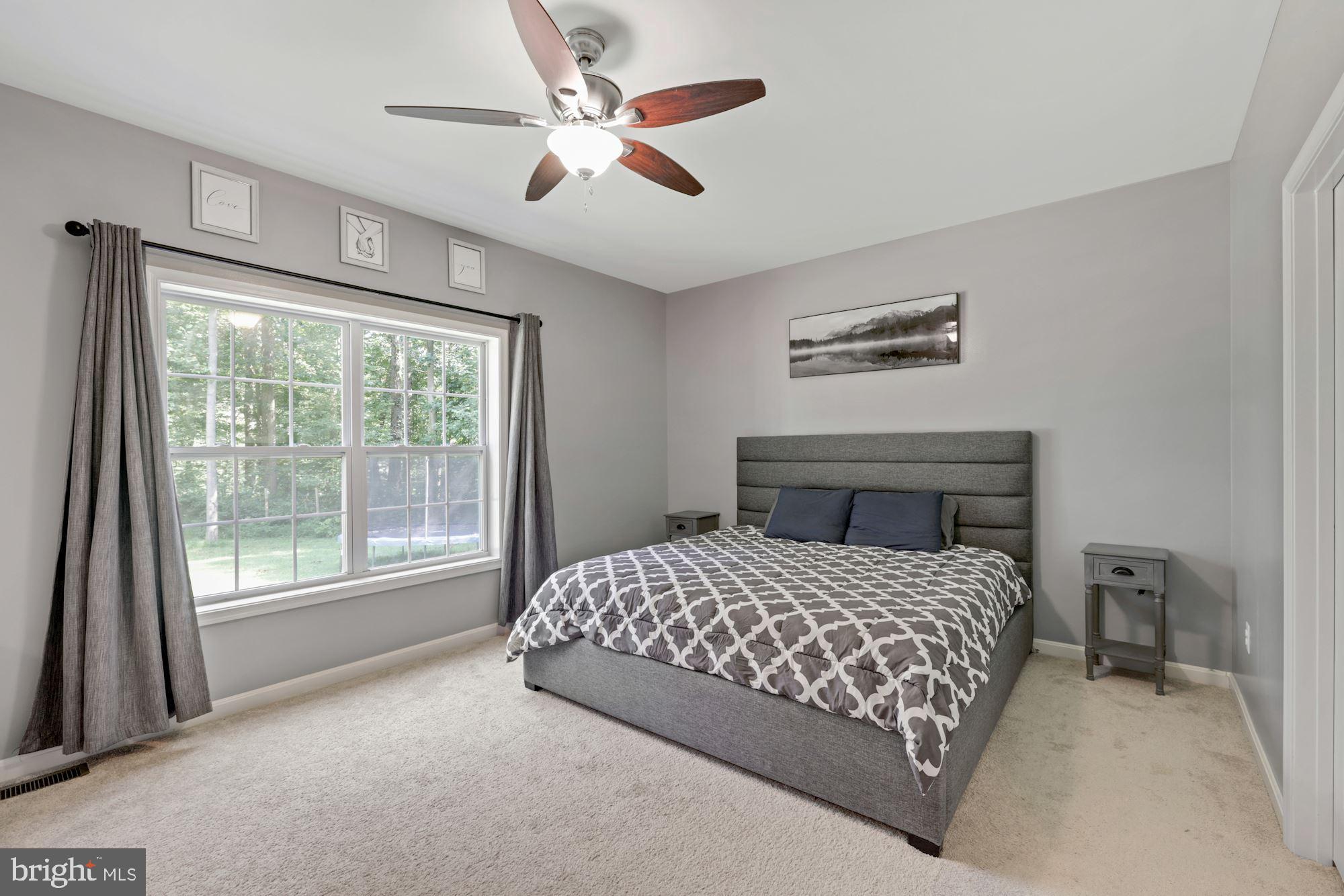 3155 Old Ridge Road Mount Airy, MD 21771 - Photo 19 of 50 Primary Bedroom with Walk In Closet