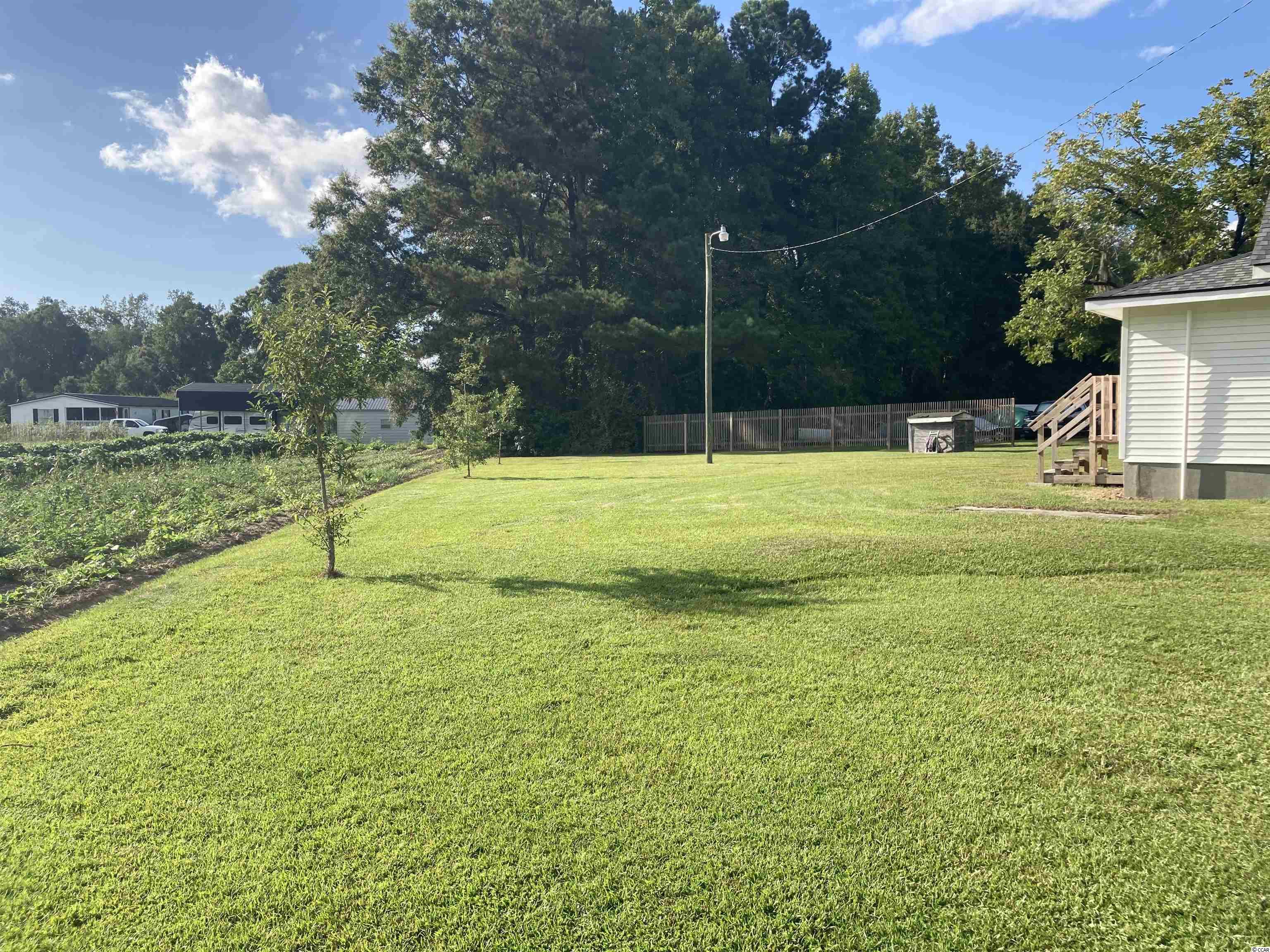 556 Twilight Road Galivants Ferry, SC 29544 - Photo 5 of 11 Gallery Image 5